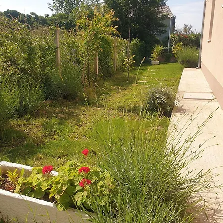 House Garden House Ferienhaus *
